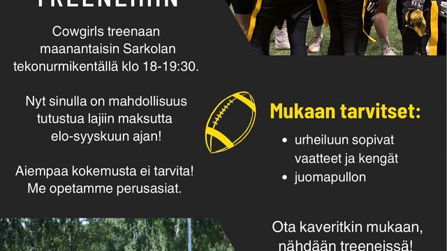 Lippupalloa - tapahtuman kuva