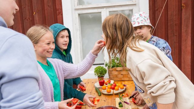 Rymättylän välipala- ja monitoimikerho - tapahtuman kuva
