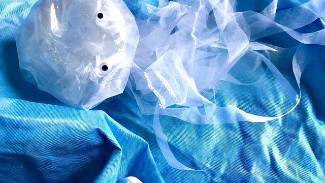 Itämeripäivän työpaja: Sateenkaarikala ja mystinen meduusa - tapahtuman kuva