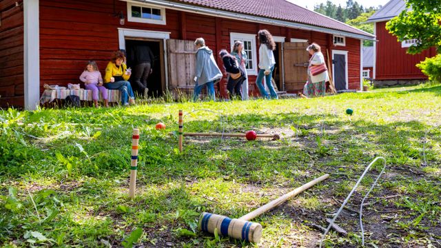 Håkansbölen kesänäyttelyt - tapahtuman kuva