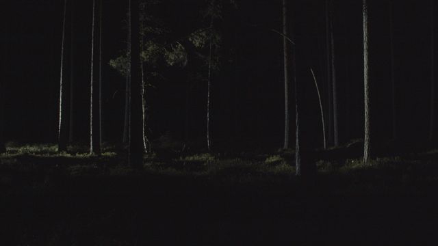 Pasi Autio: Hälytystila - tapahtuman kuva