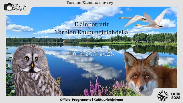 ELÄINPOTRETIT TORNION KAUPUNGINLAHDELLA 16.5 - 20.9.2026 - tapahtuman kuva