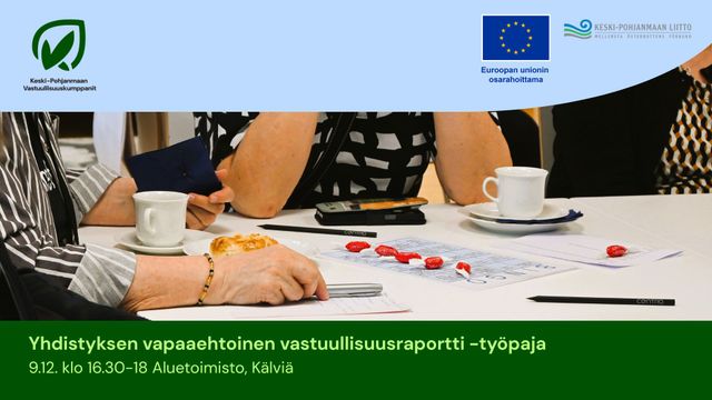 Yhdistyksen vapaaehtoinen vastuullisuusraportti -työpaja - tapahtuman kuva
