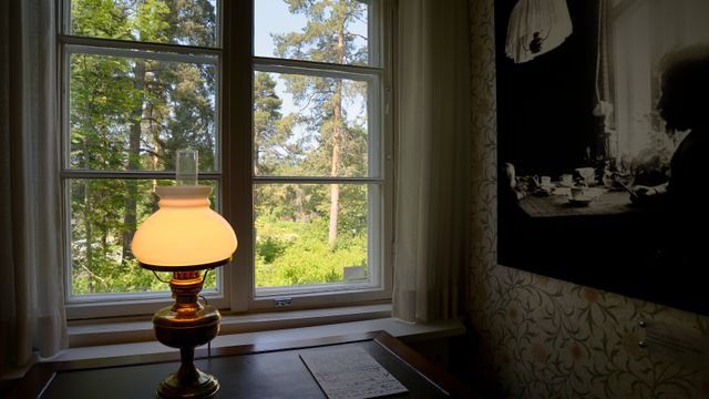 Yleisöopastus Aholassa - tapahtuman kuva