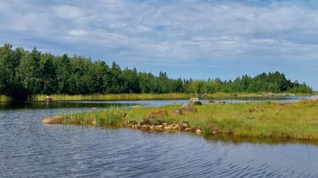 Kuva: Siiri Nyrhilä, Lupa- ja valvontavirasto