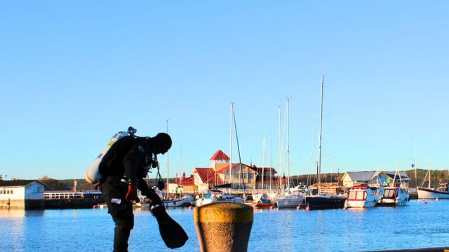 Tule viettämään Itämeripäivää Chappeen! - tapahtuman kuva