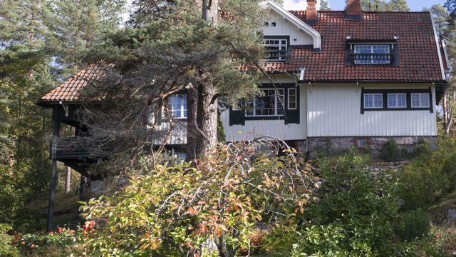 Yleisöopastukset Ainolassa kesällä 2026 - tapahtuman kuva