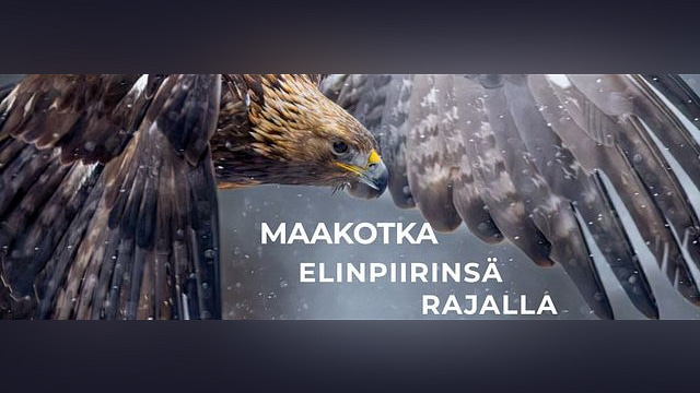 Maakotka elinpiirinsä rajalla -valokuvanäyttely Ähtärin Pirkanlinnassa - tapahtuman kuva
