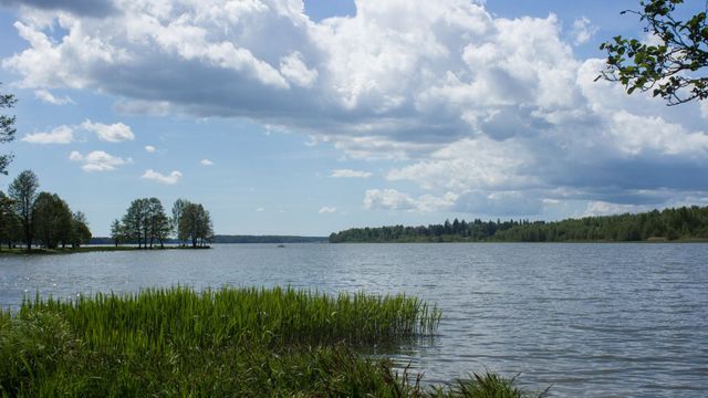 Tutustu Järvenpäähän kiertoajelun kyydissä - tapahtuman kuva