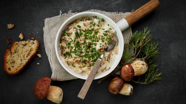 Sieniruokakurssi - tapahtuman kuva