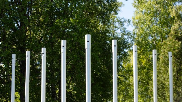 Antti Tolvi: Ihmisen ja linnun ero - tapahtuman kuva