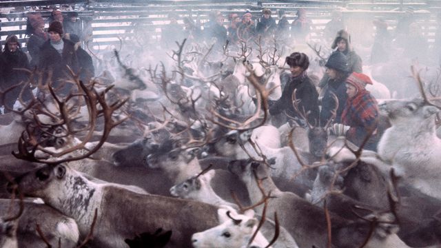 Pohjoiset keinot -perusnäyttely - tapahtuman kuva