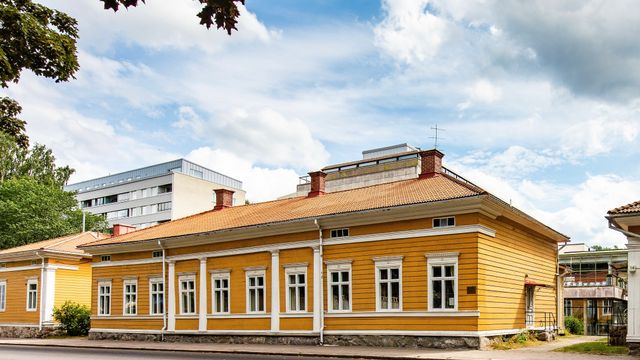 Kesä Ett Hem -museossa - tapahtuman kuva