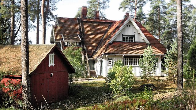 Teemaopastus Ainolassa: Jean Sibelius ja hänen sukunsa - tapahtuman kuva
