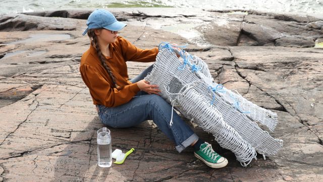 Gabriella Presnal: Huuhtoutuva muisti - tapahtuman kuva