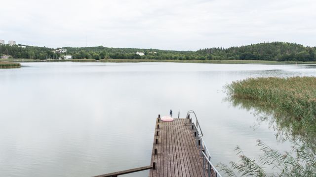 Hyvinvointia levosta ja luonnosta 8. – 11.9.2026 - tapahtuman kuva