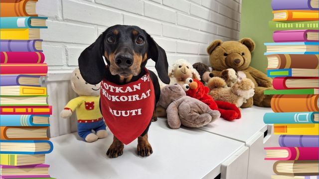 Lukukoira Ruuti - tapahtuman kuva