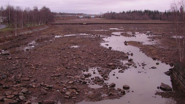 Merikoski takaisin - tapahtuman kuva