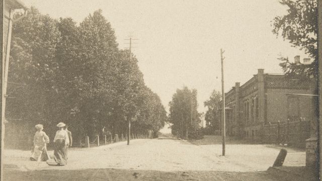 Museovirasto
