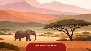Lauluja maailmalta - Safarikuoron konsertti - tapahtuman kuva